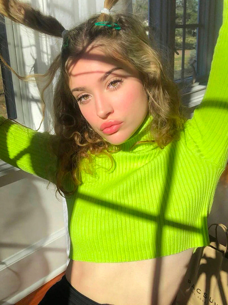 Knitted Cropped Top